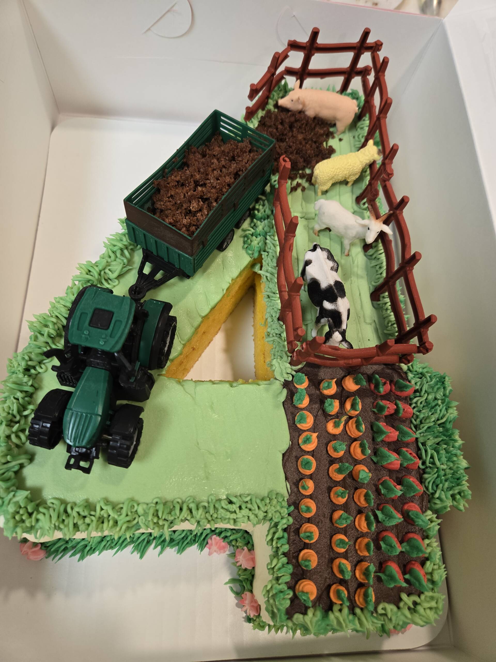 Custom Number or Carved Shape Cake - Image 11