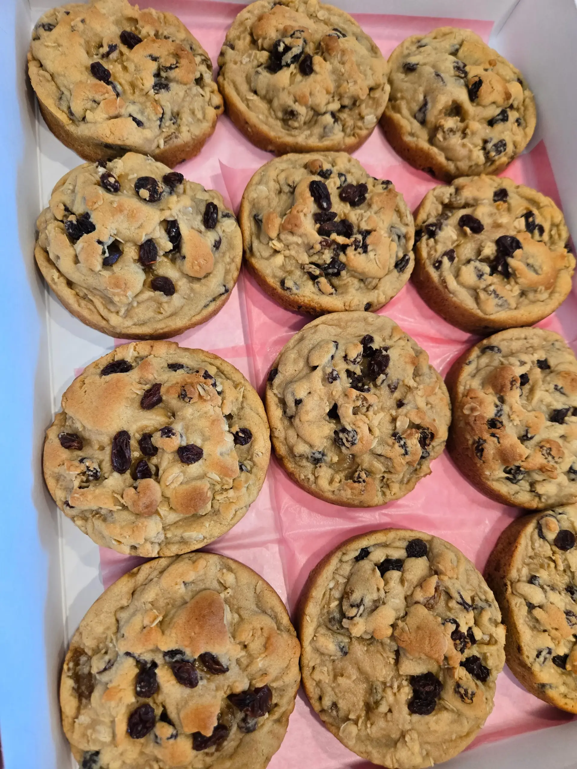 Oatmeal Raisin