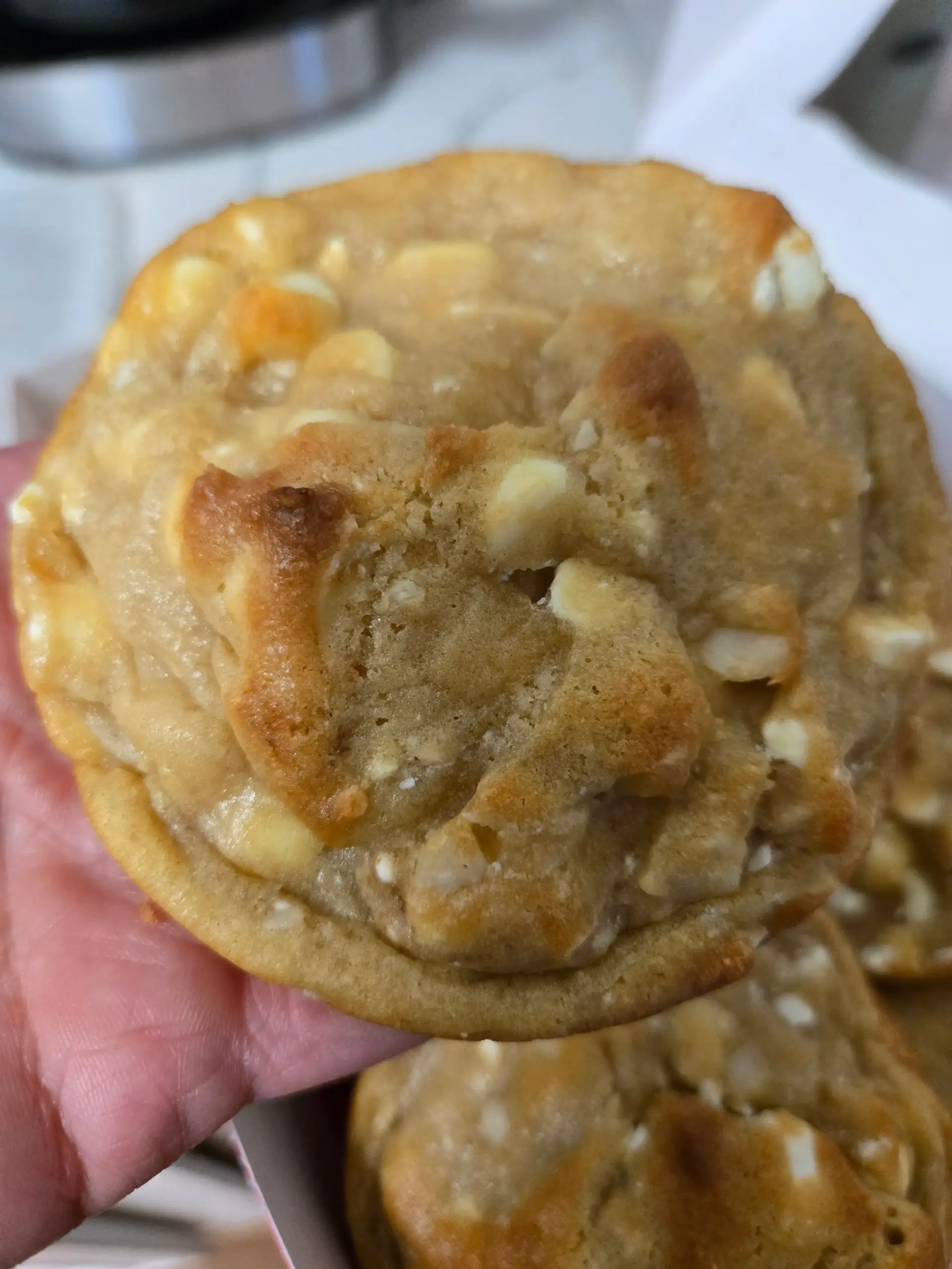 White Chocolate Macadamia Nut