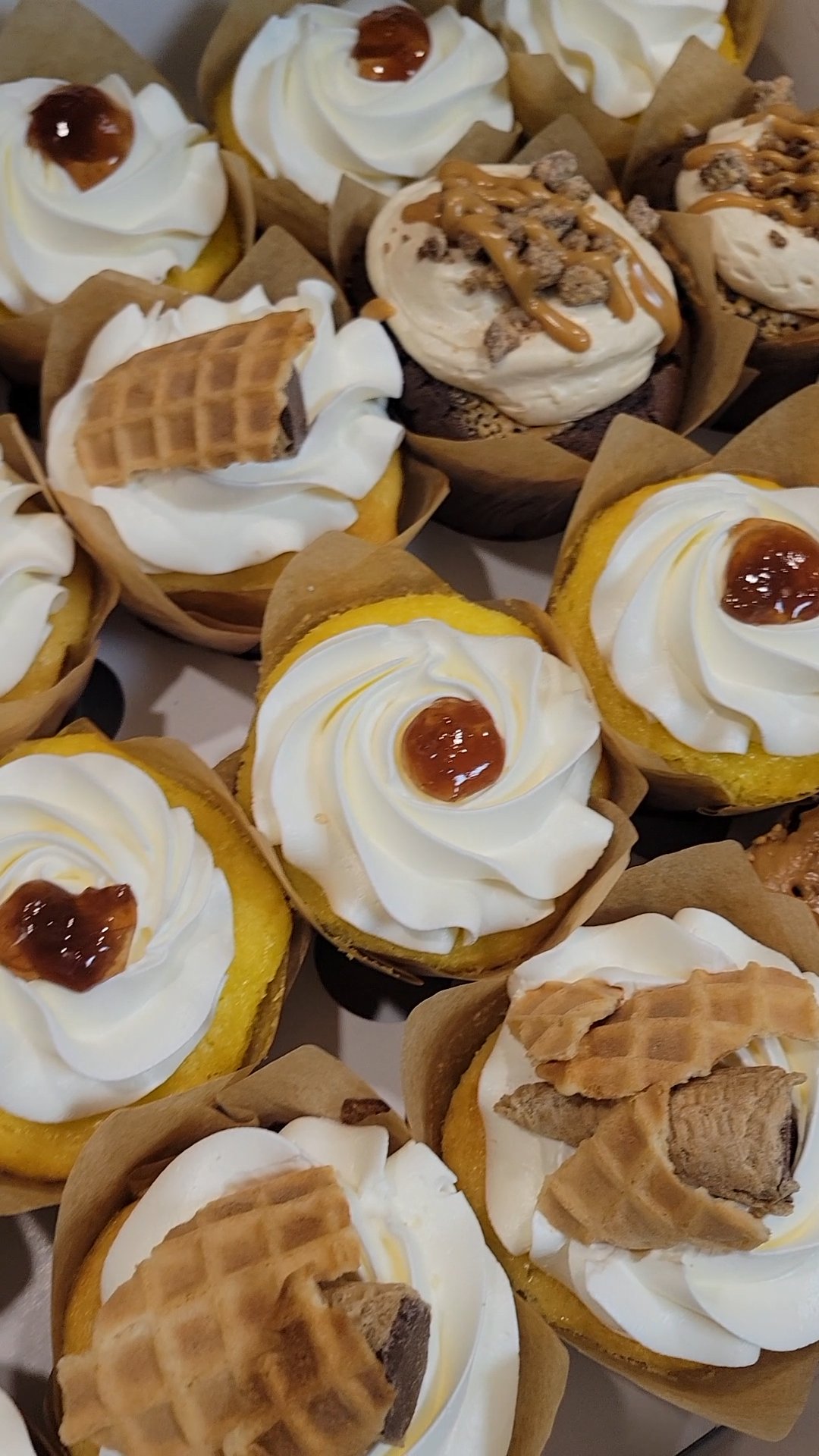 Cup Cake