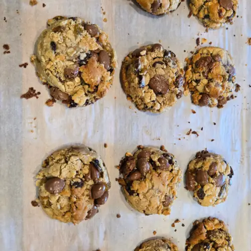 Oatmeal Chocolate Covered Raisin