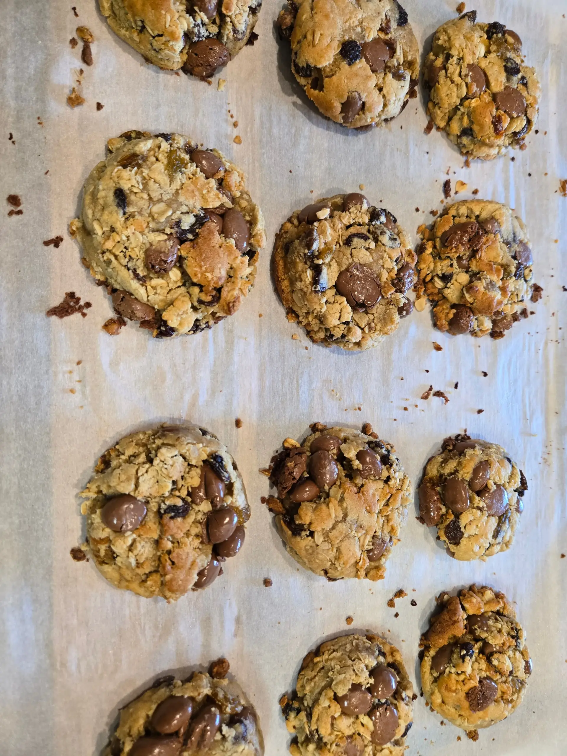 Oatmeal Chocolate Covered Raisin
